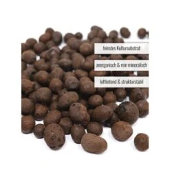 Pflanzwerk® Pflanzton Mineral-Granulat 15 L 6 Pflanzwerk® Pflanzton Mineral-Granulat 15 L -Gloria Der Garten Geschaft 146128 11001500 3
