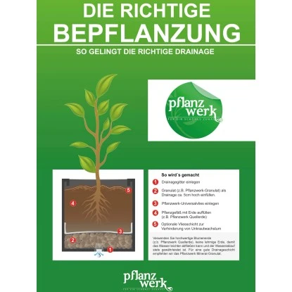 Pflanzwerk® Pflanzton Mineral-Granulat 15 L 4 Pflanzwerk® Pflanzton Mineral-Granulat 15 L – Bild 4