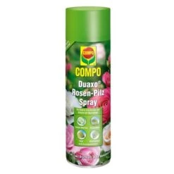Compo Duaxo Rosen-Pilz Spray 400 Ml