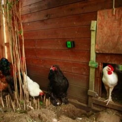 Gardigo Marder-Frei Mobil -Gloria Der Garten Geschaft 302634 2272 12