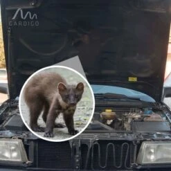 Gardigo Marder-Frei Mobil -Gloria Der Garten Geschaft 302634 2272 15