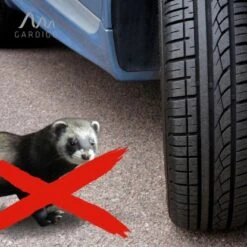 Gardigo Marder-Frei Indoor LED -Gloria Der Garten Geschaft 302635 2272 12