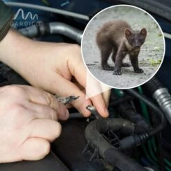 Gardigo Marder-Frei Indoor LED -Gloria Der Garten Geschaft 302635 2272 13