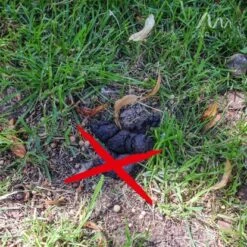 Gardigo Hunde-Katzen-Abwehr -Gloria Der Garten Geschaft 302665 2272 15