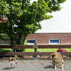Gardigo Hunde-Katzen-Abwehr -Gloria Der Garten Geschaft 302665 2272 20