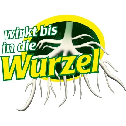 Neudorff Finalsan Unkraut-Frei Plus 1 L 3 Neudorff Finalsan Unkraut-Frei Plus 1 L – Bild 3