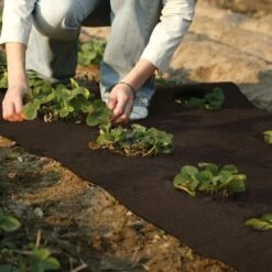 Winterschutz Kokosmatte Dunkelbraun 50 Cm X 150 Cm -Gloria Der Garten Geschaft 711298 2332 3