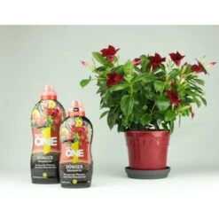 Nutri One Universal-Dünger 1 L Flüssigkonzentrat 15 Nutri One Universal-Dünger 1 L Flüssigkonzentrat -Gloria Der Garten Geschaft 777015 4652 8