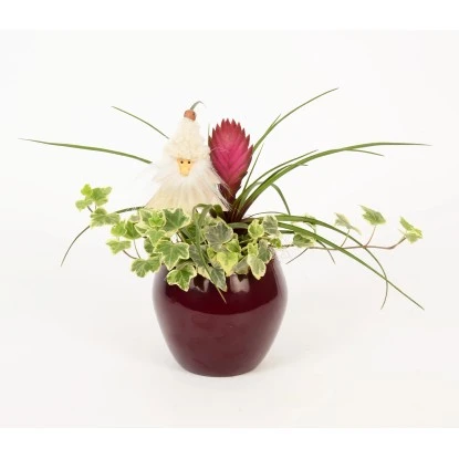 Winterliches Pflanzen-Arrangement Im Keramik-Gefäß Topf-Ø Ca. 12 Cm 2 Winterliches Pflanzen-Arrangement Im Keramik-Gefäß Topf-Ø Ca. 12 Cm – Bild 2