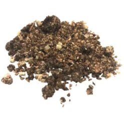 Biohelp Raubmilbe Gegen Thripse, Trauermückenlarve, Wurzelgallennematode 5 Tsd.