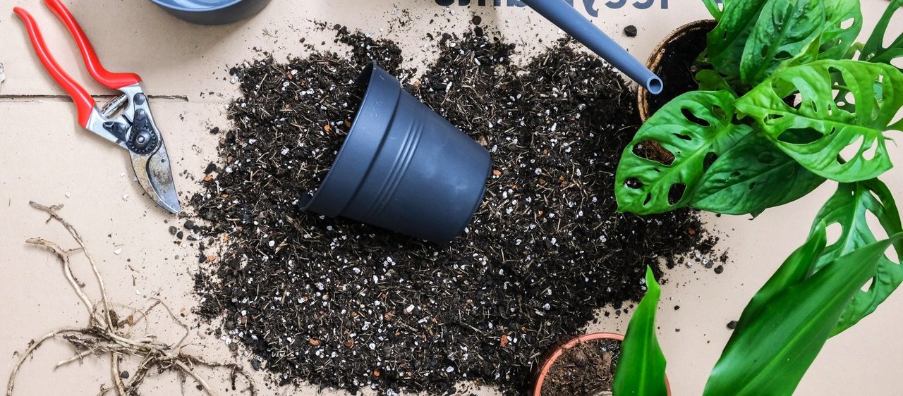 Gloria Der Garten Geschaft -Gloria Der Garten Geschaft csm professionelle pflanzenpflege f51160d0ed