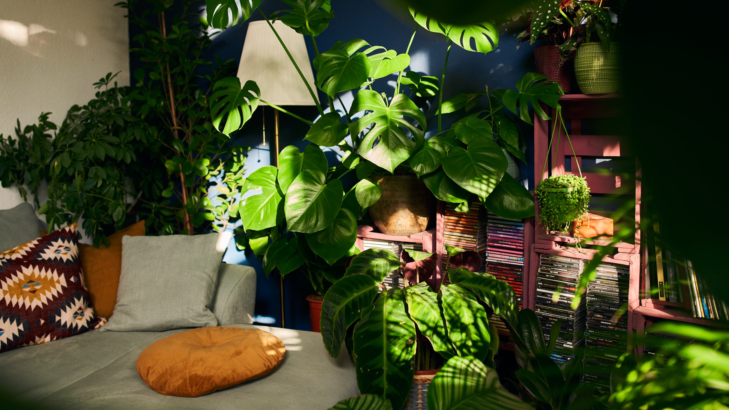 Gloria Der Garten Geschaft -Gloria Der Garten Geschaft zimmerpflanzen pflegen titel neu min